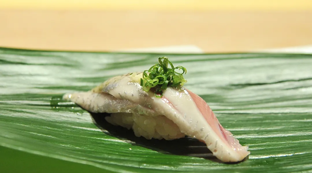 Japanische Sardine (Iwashi)