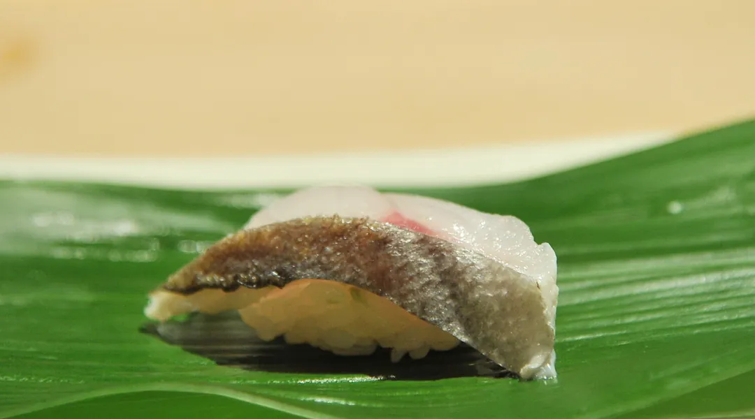 Tai 鯛