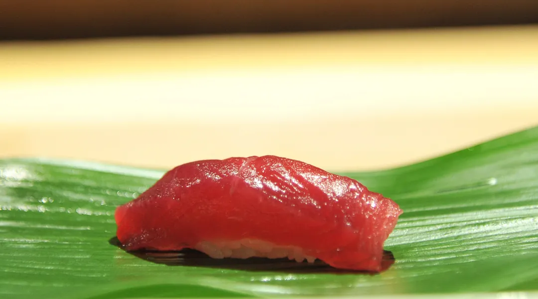 Maguro 鮪