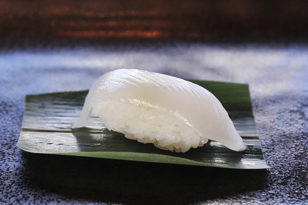 حبار الرمح