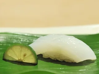Calmar récifal à grandes nageoires (aori-ika)