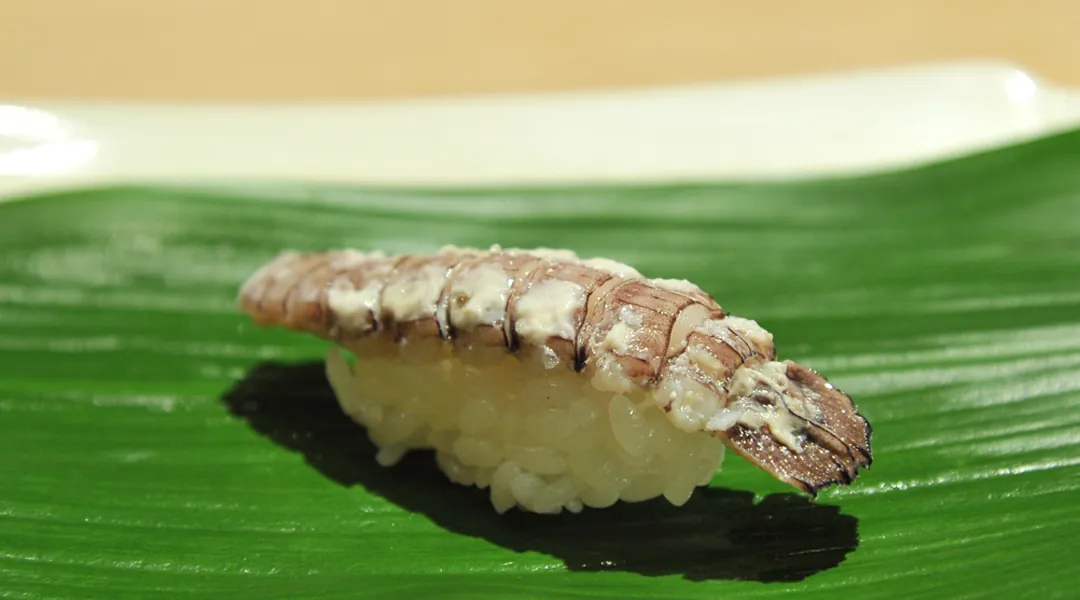 갯가재