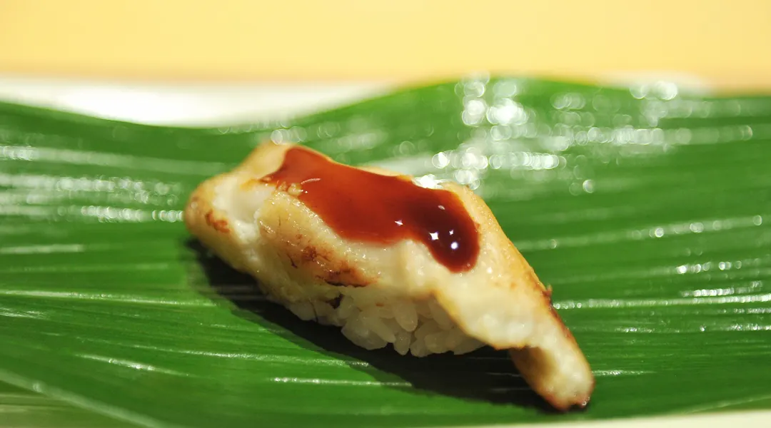 Weißgefleckter Meeraal (Anago)