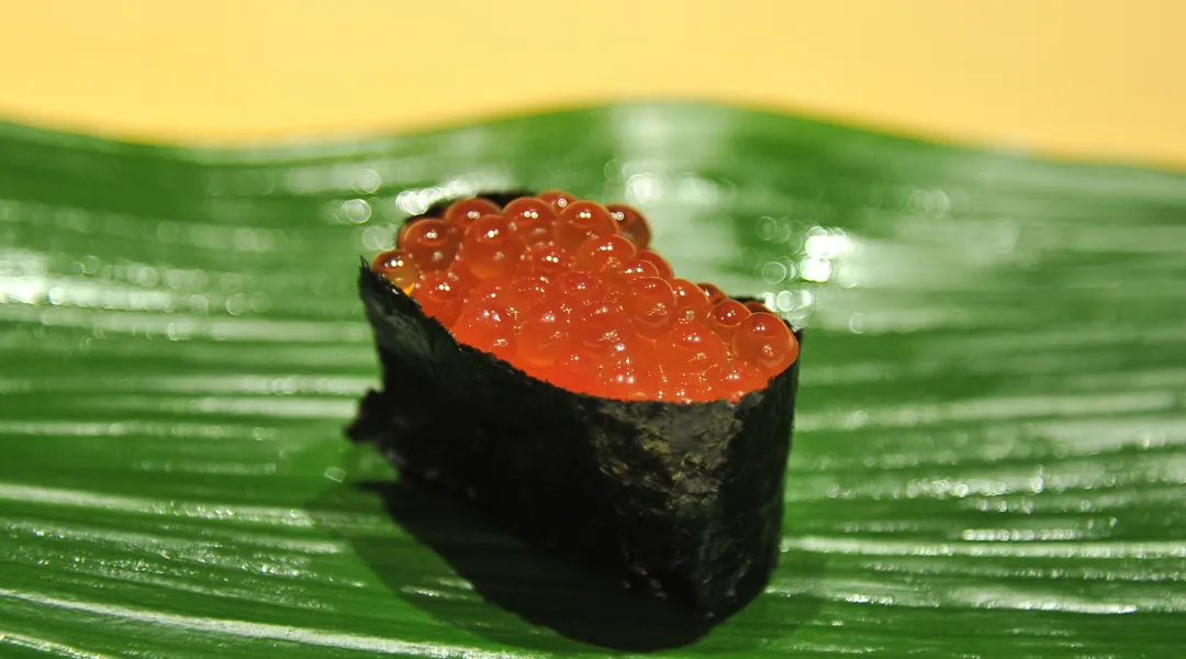 Ikura 鮭卵