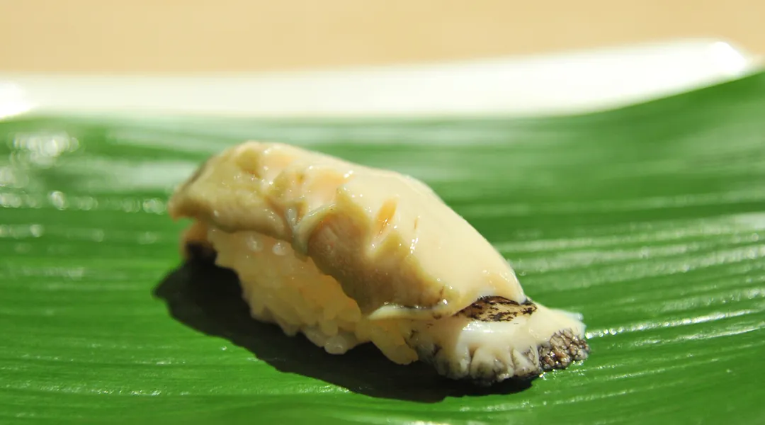 Abalone