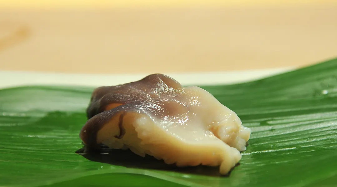 Amêijoa hokki