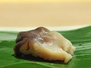 Mactre (hokki)