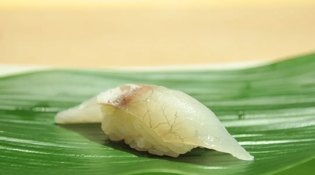 Plattkopf (Kochi)