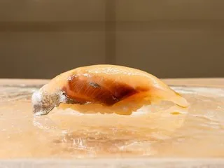 Shima-aji (carangue dentue)