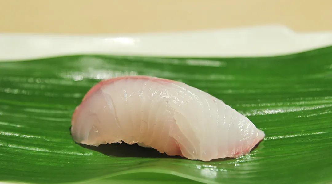 Ricciola (kanpachi)