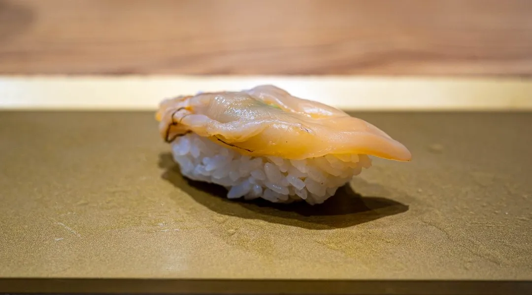 Aoyagi-Trogmuschel